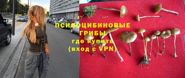 a pvp Армянск
