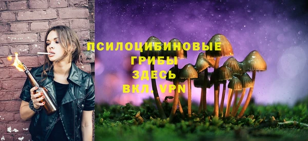 экстази Арсеньев