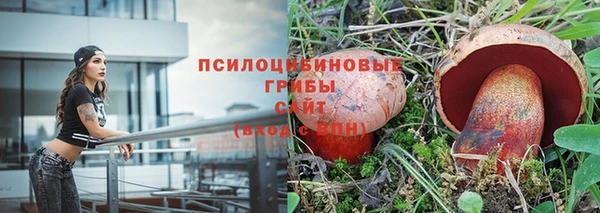 крисы Аркадак