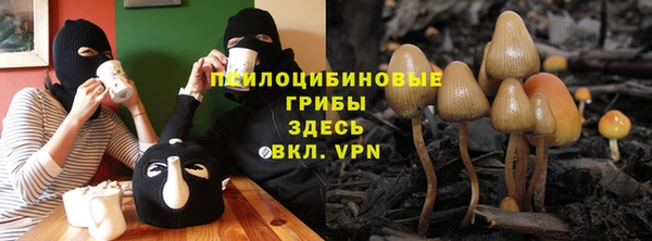 a pvp Армянск